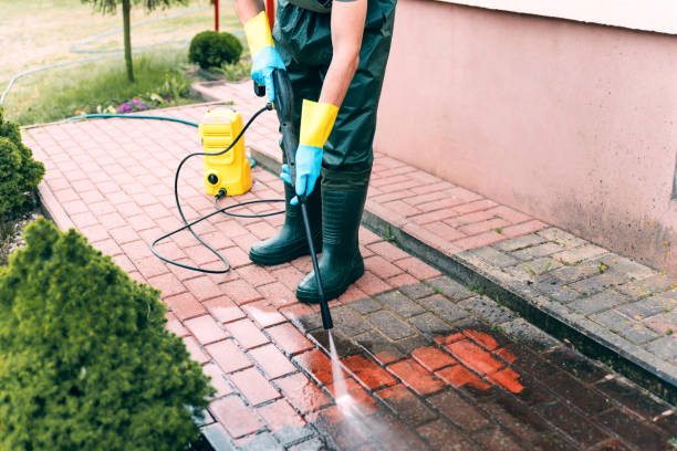 Best Deck Cleaning Services  in Clendon, AR