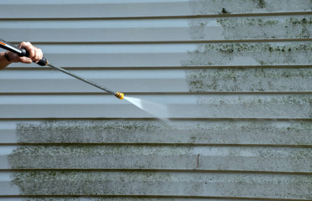 Best Exterior Home Cleaning  in Clendon, AR