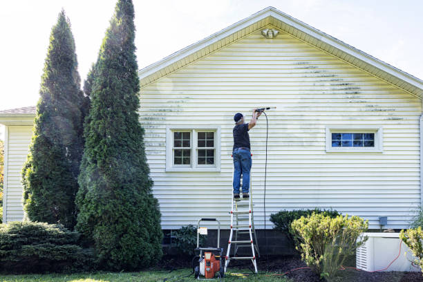 Best Roof Power Washing Services  in Clendon, AR